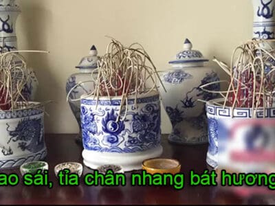 Bài văn khấn xin hóa tỉa chân nhang bát hương đầy đủ, chính xác nhất